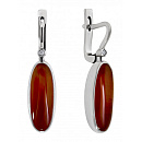 Серьги серебряные 43589 | Серьги серебряные 43589 купить по цене 3192 руб. в ювелирном магазине ⭐️ «Золотая Подкова»