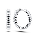 Серьги серебряные 00972-21-090101-00 | Серьги серебряные 00972-21-090101-00 купить по цене 18100 руб. в ювелирном магазине ⭐️ «Золотая Подкова»