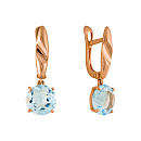 Серьги золотые 21803326Топ.гол. | Серьги золотые 21803326Топ.гол. купить по цене 61740 руб. в ювелирном магазине ⭐️ «Золотая Подкова»